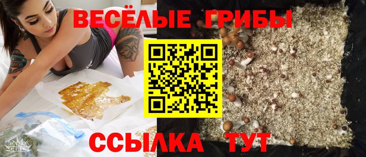 Псилоцибиновые грибы MAGIC MUSHROOMS Шебекино