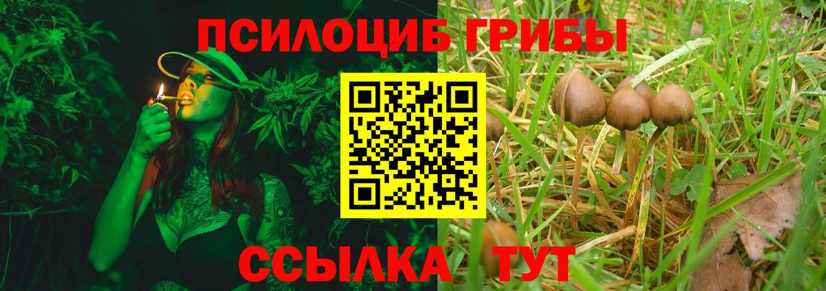 Шебекино  Псилоцибиновые грибы Magic Shrooms  Вход с VPN 